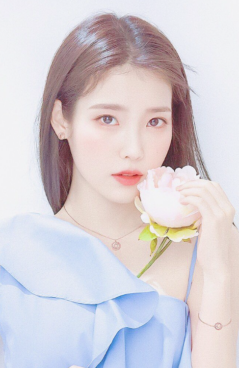  아이유 재산 출연료 저작권료 알아봐요
