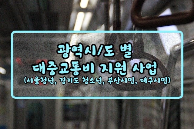  광역시/도 별 대중교통비 지원 사업 (서울청년, 경기도 청소년, 부산시민, 대구시민)