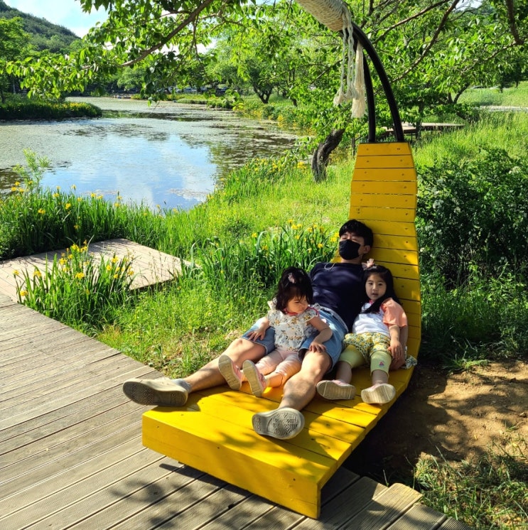 경주 아이랑 화랑의언덕 사진찍기 좋은곳