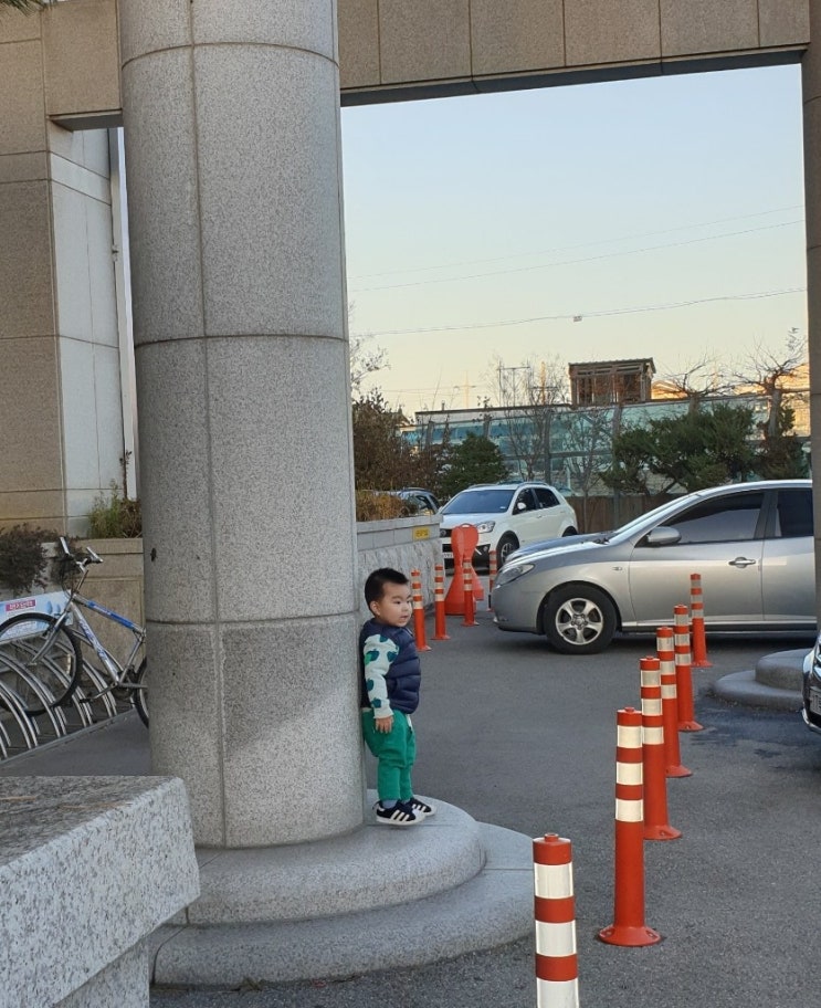  [일상] 폭염엔 도서관!!도서관 팁 + 재밌는 소전집들 기록