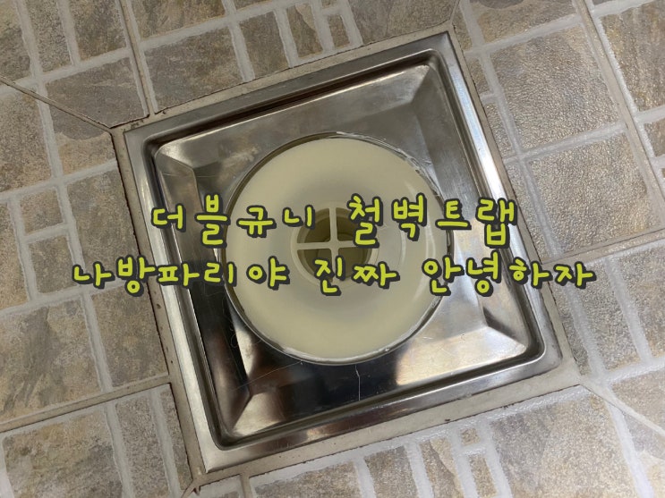  화장실냄새제거와 벌레 퇴치 대작전 '더블규니 철벽트랩' [하수구트랩 리뷰]