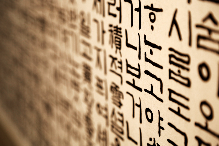 "사진 찍고 올리니, 내 통장에 月100만원"…N잡러 '연금 사이트' 스톡사진 "사진 찍고 올리니, 내 통장에 月100만원"…N잡러 '연금 사이트' 스톡사진