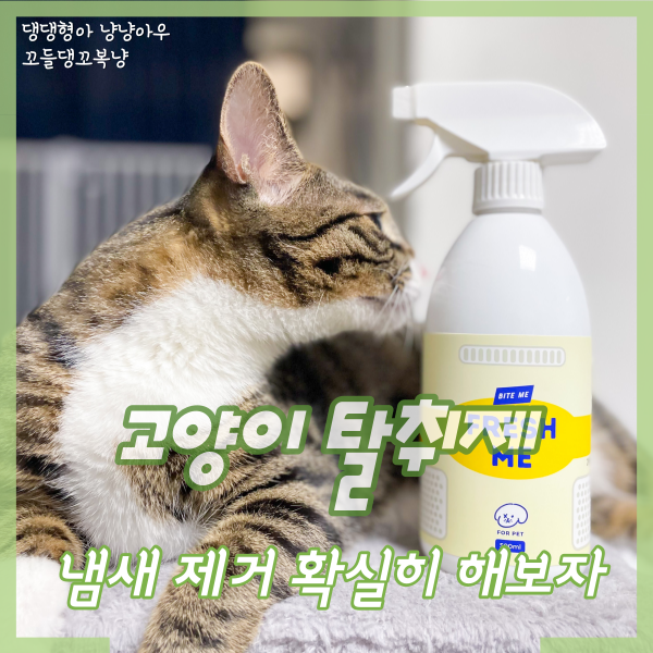  고양이모래탈취제 바잇미 프레시미로 냄새제거 해봤어요