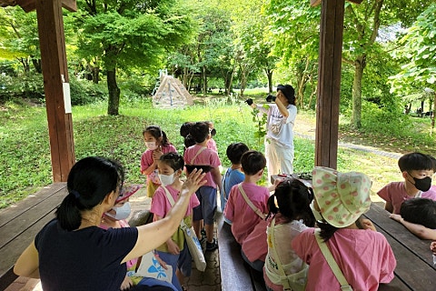 연화 유치원 이미지