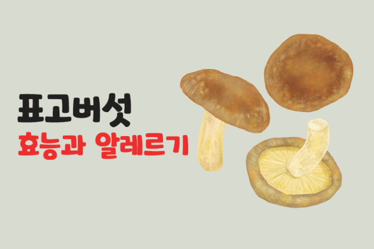  표고버섯 효능과 알레르기