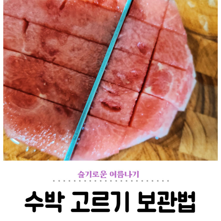  씨없는 수박 고르기 보관법 익혀 슬기로운 여름 나기