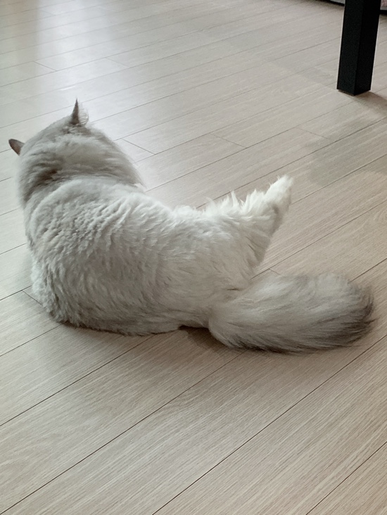  츄리일상 :) 사백서른여섯