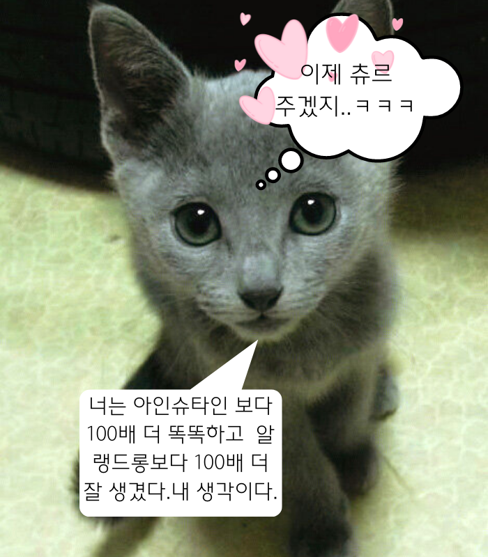  [명언. 시] 명언 2개, 기형도 시  "빈 집"