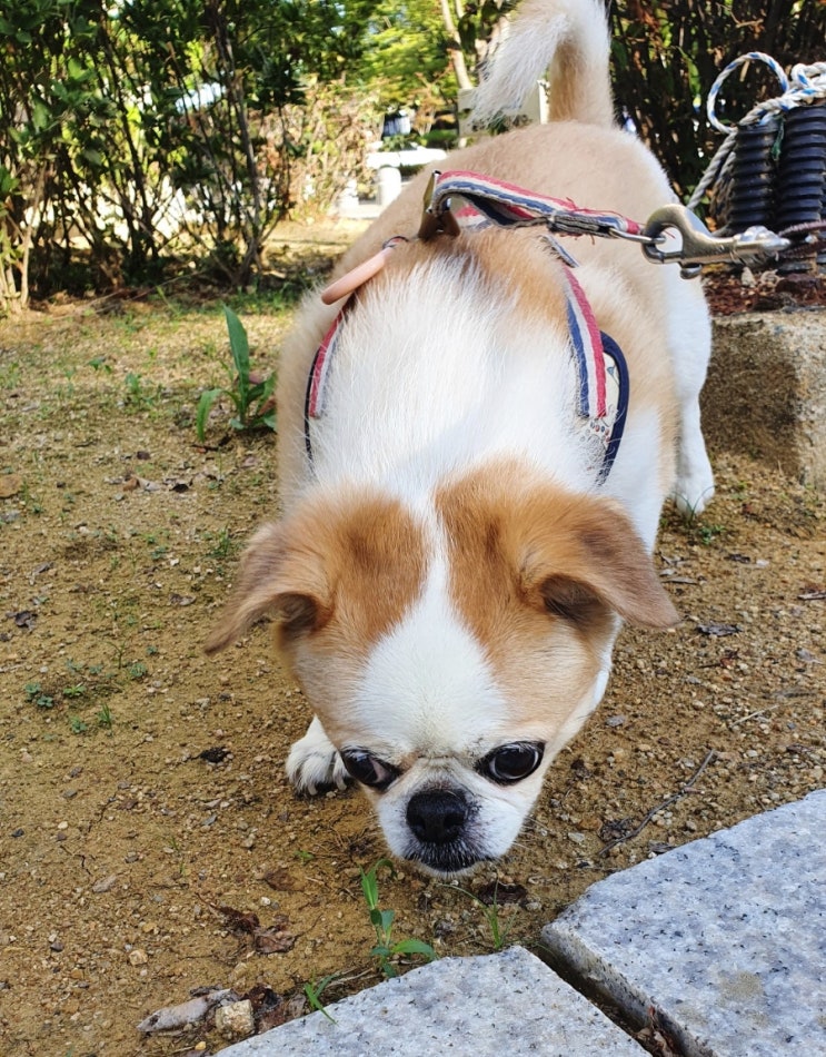  저 해킹당한거 아니에요