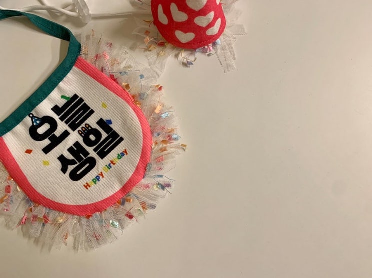  반려묘 고양이 1살 생일파티