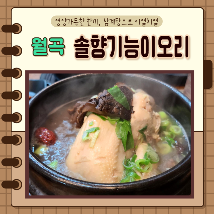 서울 성북구) 동덕여대맛집 솔향기능이오리 영양 가득 월곡삼계탕
