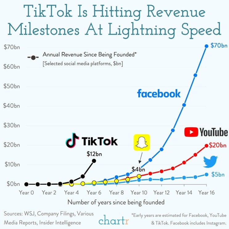 틱톡(TikTok), 기록적인 성장 속도