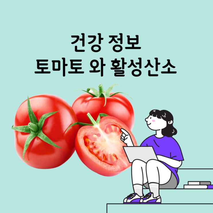 리코펜 풍부한 토마토 숙취 토마토활성산소