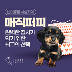  [회원가입혜택]반려동물을 위한 쇼핑몰 유기농 건강기능사료 보유 반려견 반려묘를 위한 매직퍼피