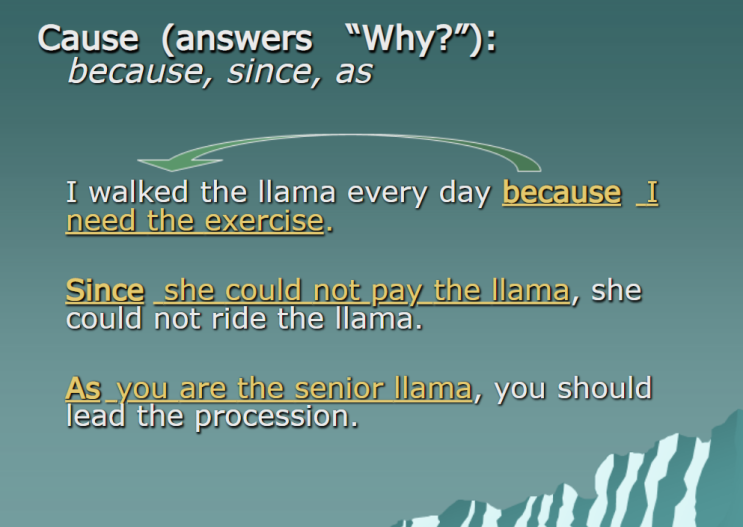  [영어] Because, As, Since의 차이점