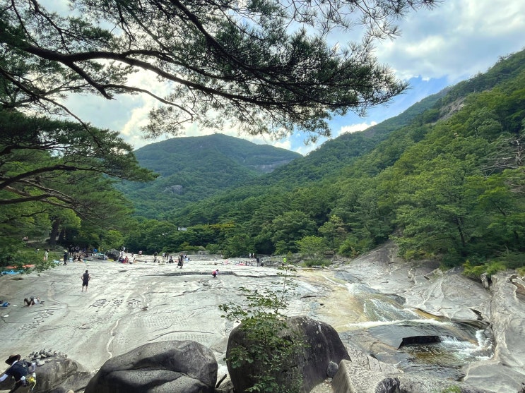  [무릉계곡] 동해 여름휴가 물놀이 추천 계곡