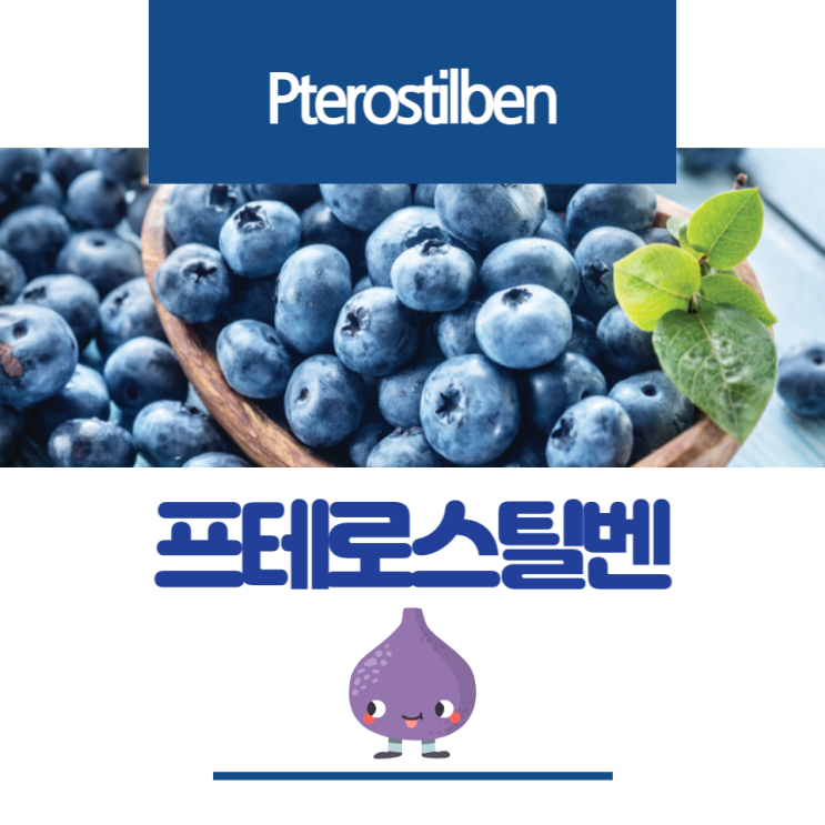 블루베리에 많은 프테로스틸벤 효능과 주의사항 블루베리에 많은 프테로스틸벤 효능과 주의사항