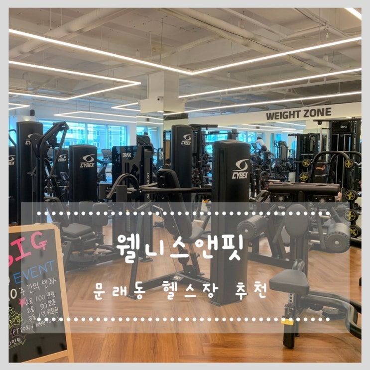  문래동 헬스장 추천 웰니스앤핏 (체형분석 pt후기)