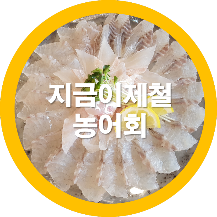  구미문성맛집 구미횟집 싱싱회를 그녀와 함께 다녀왔는데요 농어회가 넘 맛있네요