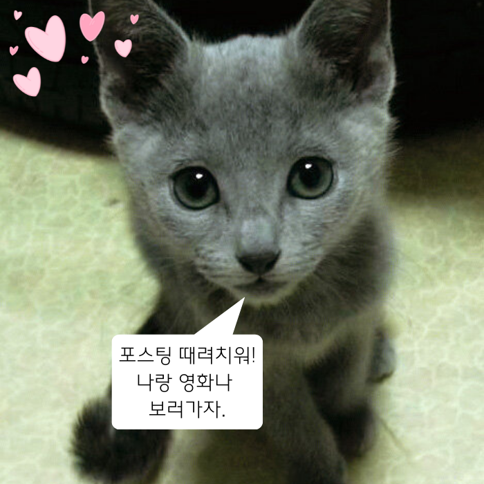  유명한 시, 좋은 시 추천: 곽재구 "사평역에서" ,오늘의 유명한 짧은 인생명언.감동명언