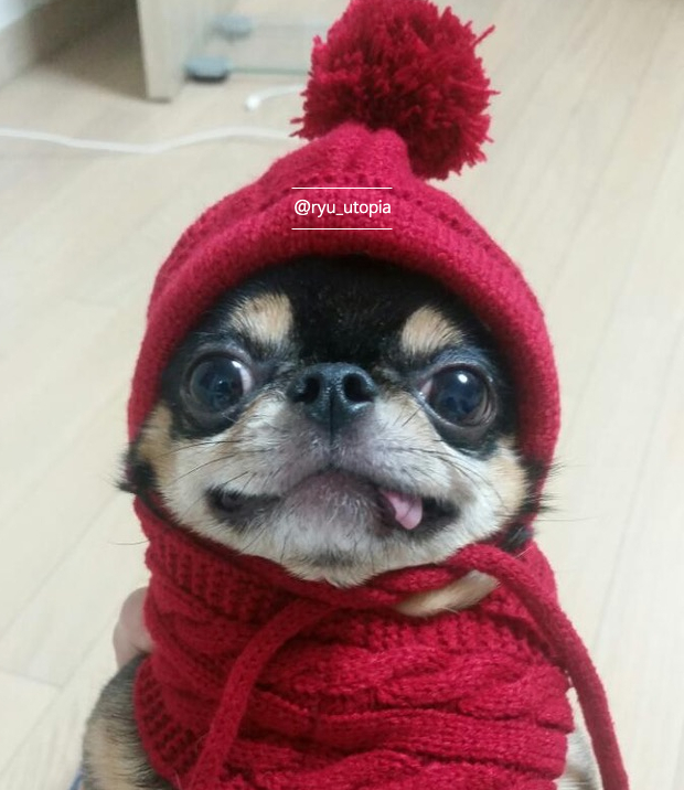  졸리