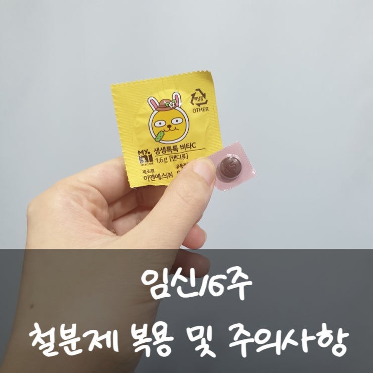 임신16주차 , 도봉구보건소에서 임산부 철분제 받기(복용법, 복용시기)