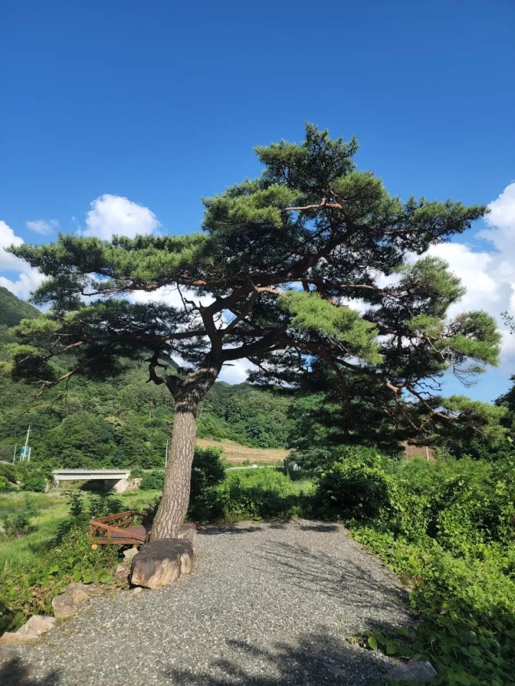  산솔오토캠핑장 / 퍼스트클래스 후기