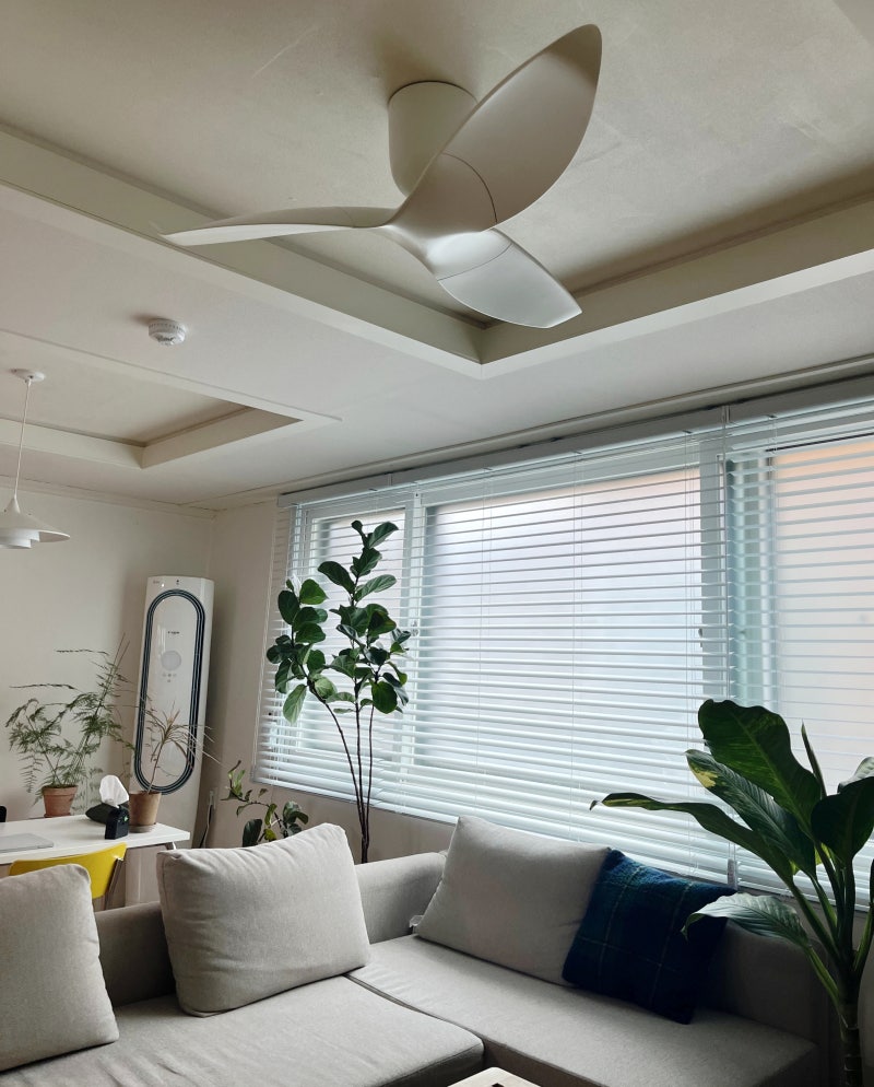 에어라트론 실링팬 2022년 7월 사용 후기 [스토어팜 편] : 네이버 블로그