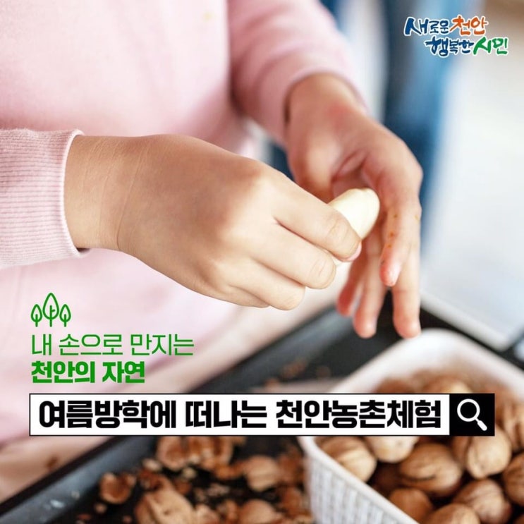 내 손으로 만지는 천안의 자연 여름방학에 떠나는 천안농촌체험 | 천안시청페이스북