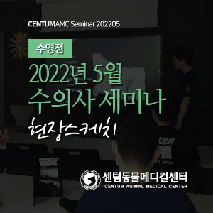 수영점 / 2022년 5월 수의사 세미나 현장스케치 (센텀동물메디컬센터 수영점)