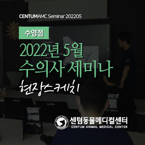  수영점 / 2022년 5월 수의사 세미나 현장스케치 (센텀동물메디컬센터 수영점)