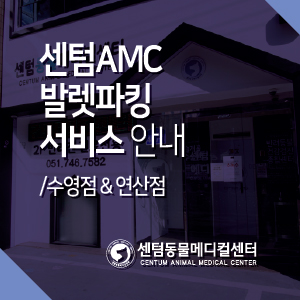  자가용 방문 보호자님을 위한 발렛파킹 서비스 안내 / 센텀동물메디컬센터