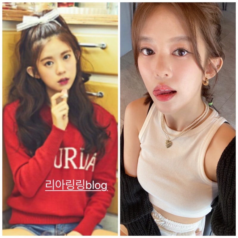 모모랜드 데이지 퇴출 당해 해고 폭로 나이 인스타 프로필 ⭕️학력 본명 키 틱톡 라이브 아....