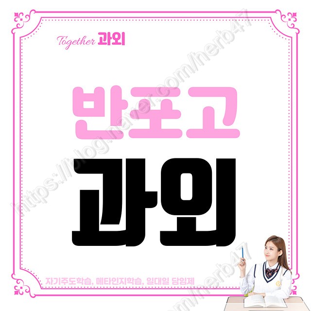  반포고 국어 영수 내신관리 수학 영어 사탐 과탐 맞춤수업