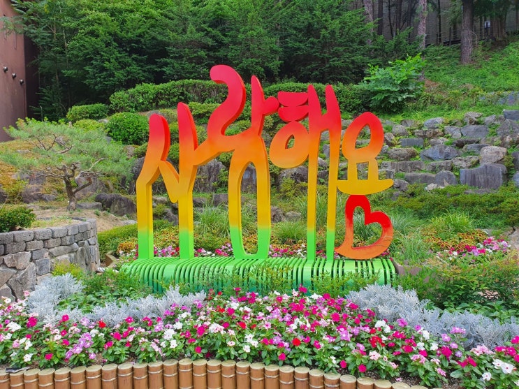  대전 뿌리공원 산책