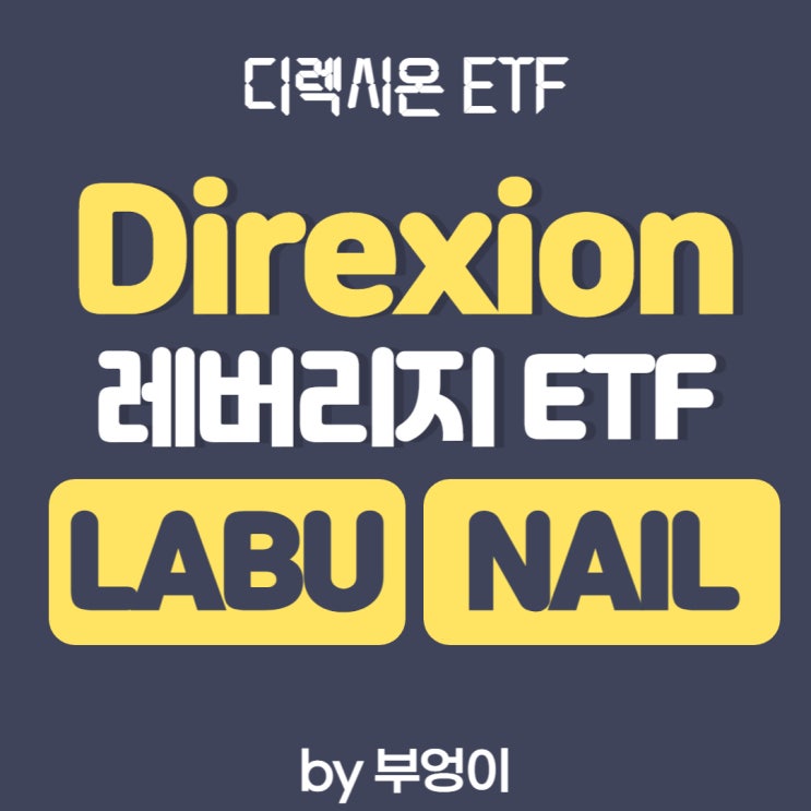 미국 3배 레버리지 ETF - LABU, NAIL (Direxion 바이오테크, 디렉시온 주택 건설) 미국 3배 레버리지 ETF - LABU, NAIL (Direxion 바이오테크, 디렉시온 주택 건설)