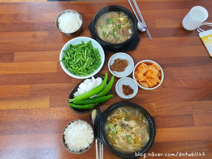 경남 고성 염소국밥 맛집 건강식당 (내돈내산)