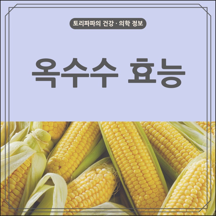  여름간식 옥수수 5가지 효능과 부작용
