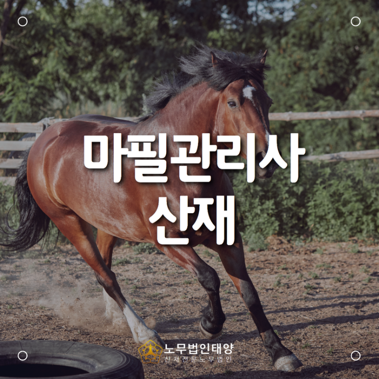  마필관리사에서 발생한 원발성 폐암 산재 승인 사례