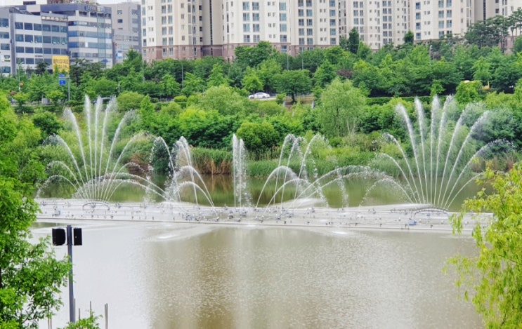  파주 운정 호수공원에 분수가 새로 생겼어요
