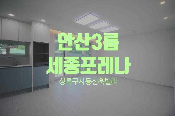  안산시 상록구 사동 3룸 신축빌라 세종포레나