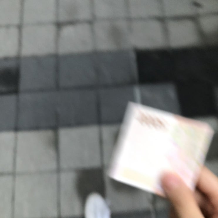 다른 달팽이들은 신경쓰지 말고 다른 달팽이들은 신경쓰지 말고