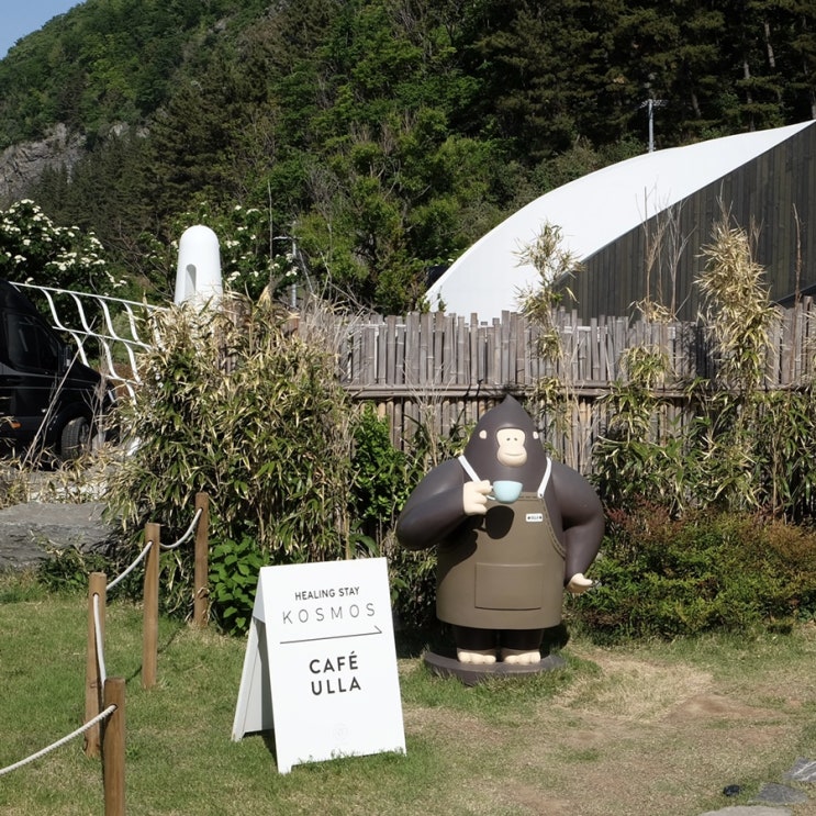  [울릉도] 나리분지와 함께 가볼만한 곳, 카페 울라