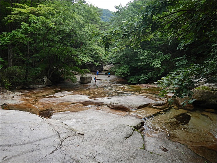  대야산 산행 (feat 등산코스, 용추폭포, 주차정보)