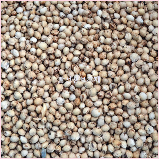  간건강영양제 기억해야 하는 것들
