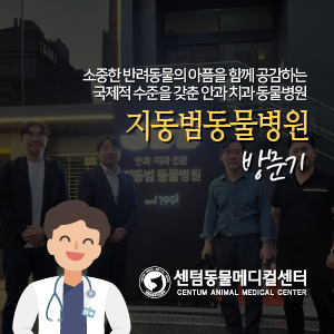  국제적 수준을 갖춘 안과 치과 동물병원, 지동범 동물병원 방문기 (부산 금정구 부곡동 동물병원)