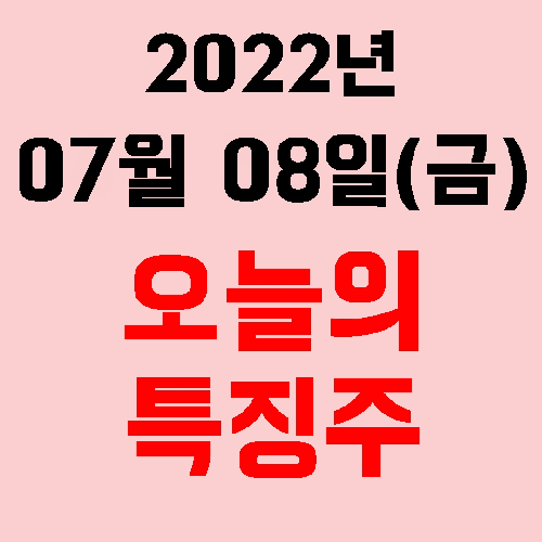  오늘의 시장 특징주 2022년 07월 08일(금)