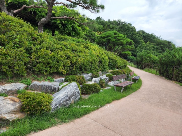  울산 문수월드컵경기장 산책하기좋은곳