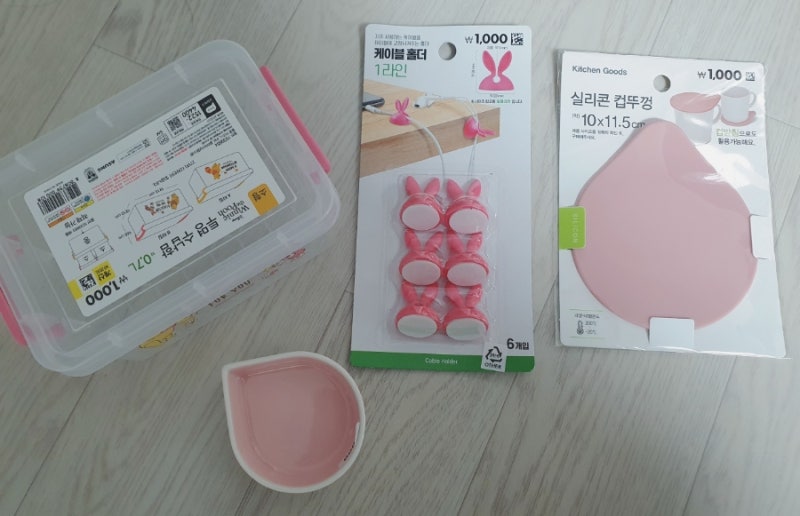 [토종 달팽이 키우기]-다이소템으로 달팽이집 꾸미기