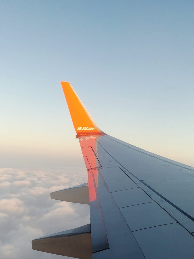  청주공항역에서 청주공항 가는 길